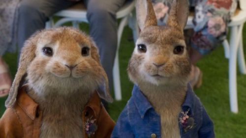 Peter Rabbit 2: A la fuga