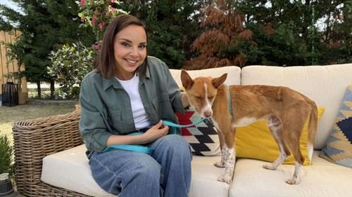 ‘Dog House’ vuelve este martes con una temporada llena de emociones y nuevas historias