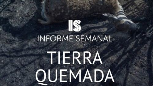 Incendios en Zamora: 'Informe Semanal' aborda la crisis ambiental este sábado